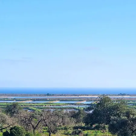 Seaview - Adorable Flat With Pool Daire